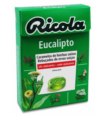 INTERAPOTHEK ESENCIA PARA HUMIDIFICADORES 1 ENVASE 10 ML AROMA EUCALIPTO