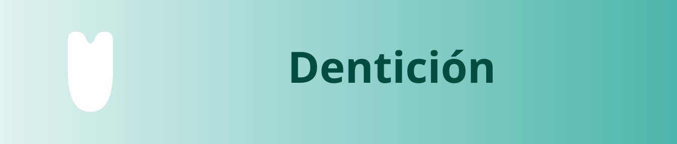 Dentición