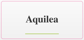 Aquilea